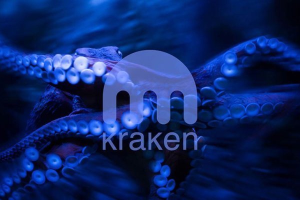 Kraken tor onion